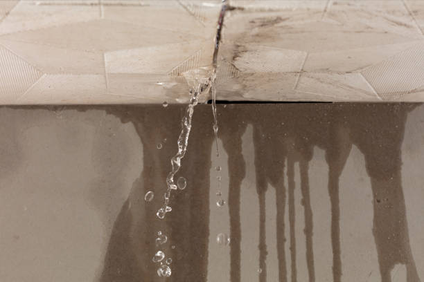 Professional Water Damage Repair technician working in Puyallup, WA